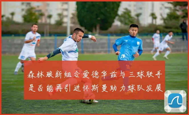 森林狼新组合爱德华兹与三球联手是否能再引进怀斯曼助力球队发展