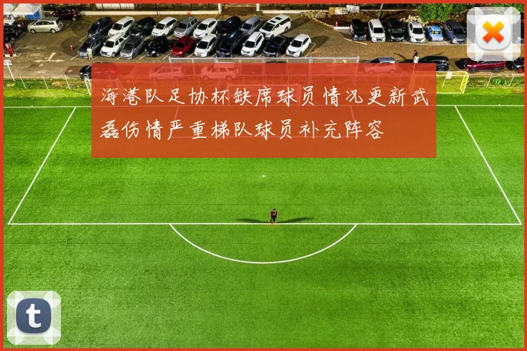 海港队足协杯缺席球员情况更新武磊伤情严重梯队球员补充阵容